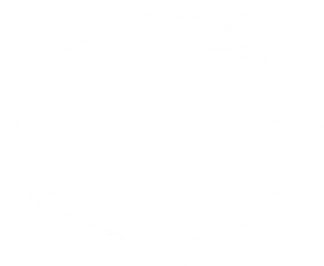 Layer 2.png